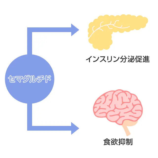 リベルサスの効果