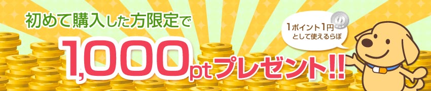 初回購入ポイント贈呈