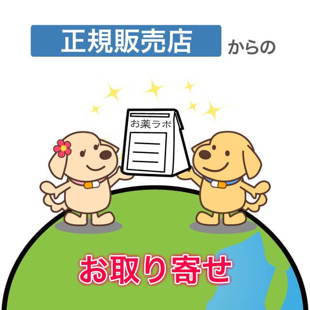 メーカー正規販売店からお取り寄せのお薬
