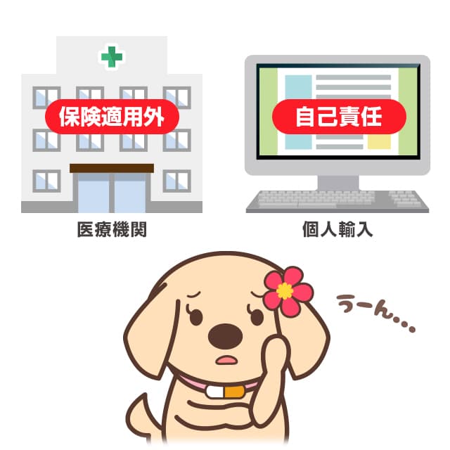 アフターピルは医療機関や個人輸入で購入可能