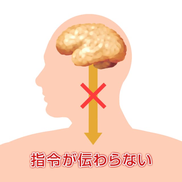 うつ病の原因は脳の不調により指令が全身へ上手く伝わらない