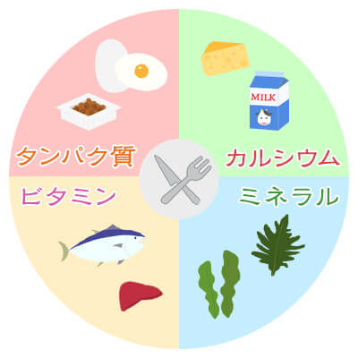タンパク質・ビタミン・カルシウム・ミネラルなどのバランスのいい食事は抜け毛予防につながる
