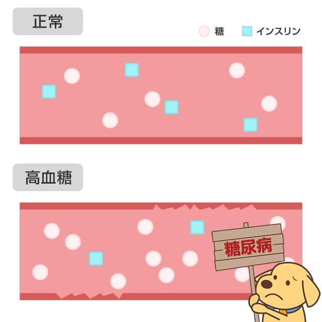 糖尿病とは慢性的に血糖値が高い状態