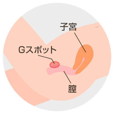 Gスポットを刺激すると性感帯が開発されてオーガズムを感じやすい