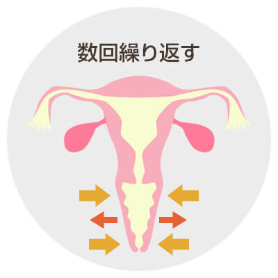 ケーゲル体操（偏在性感向上体操）を繰り返し行うと膣圧が上がりイキやすくなる