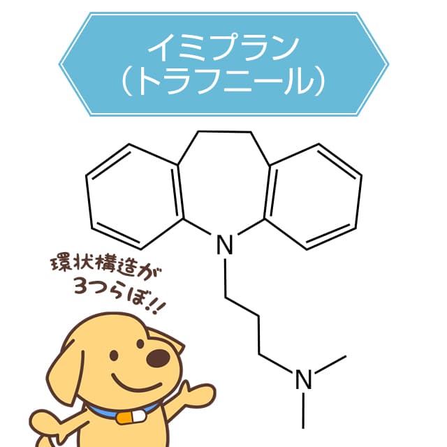 SNRIの作用機序