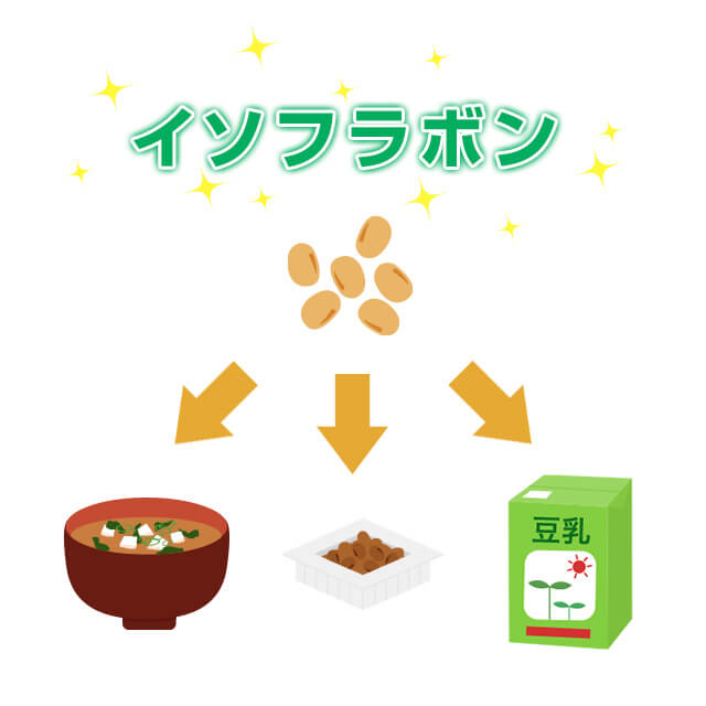 増加した女性ホルモンが戻ることが原因で起きる産後脱毛症には豆乳・納豆・味噌汁などのイソフラボンが効果的