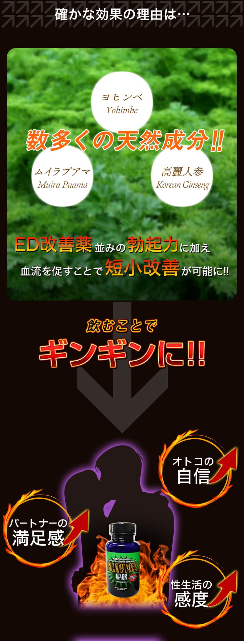 ED治療薬並みの効果がある成分を配合