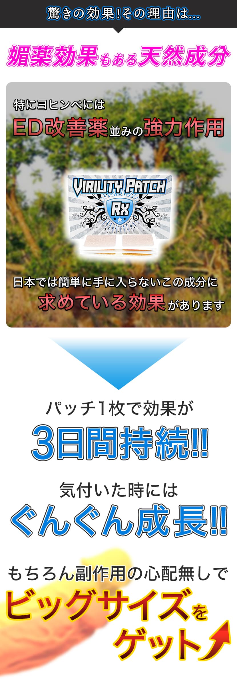 媚薬効果のある天然成分でビックペニスをゲット