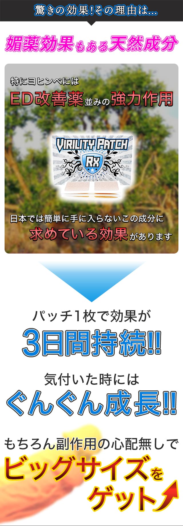 媚薬効果のある天然成分でビックペニスをゲット