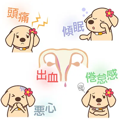 アイピル（アフターピル）の副作用とは？