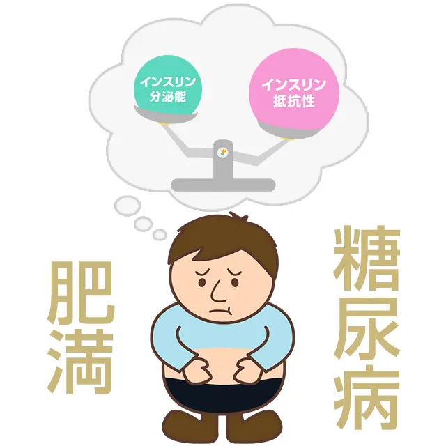 糖尿病と肥満の関係性